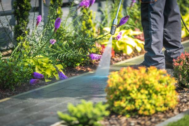 Best Patio and Deck Pressure Washing  in Friend, NE